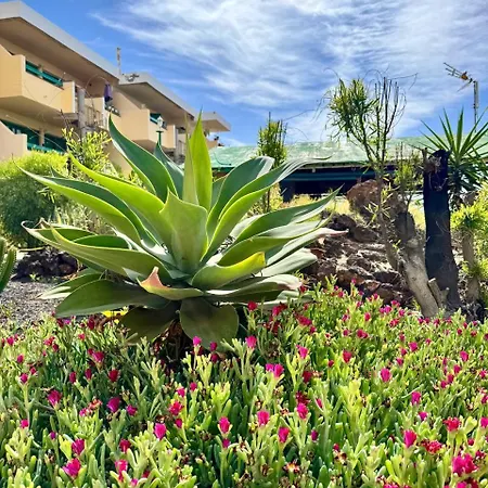 Casa Linda Apartamento *