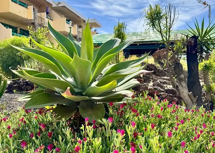 Casa Linda Апартаменты *